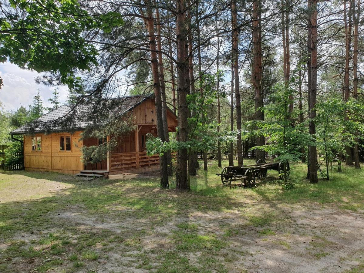 Villa Roztocze U Aleksa Susiec - Jacuzii , Goraca Balia!!! Exterior foto