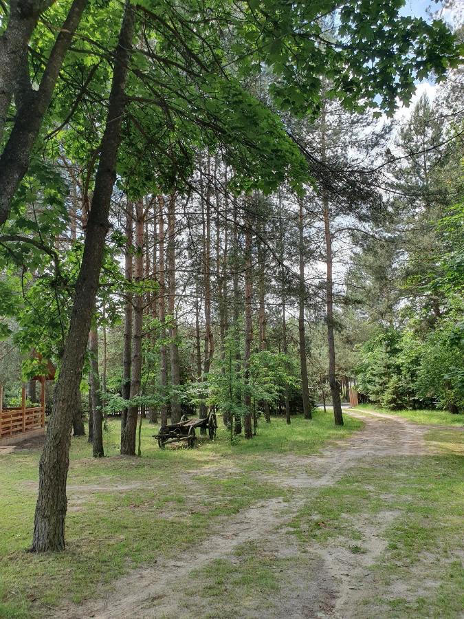 Villa Roztocze U Aleksa Susiec - Jacuzii , Goraca Balia!!! Exterior foto